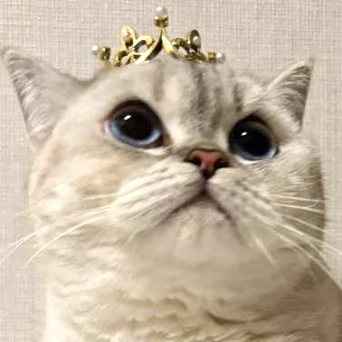 一张可爱的图片